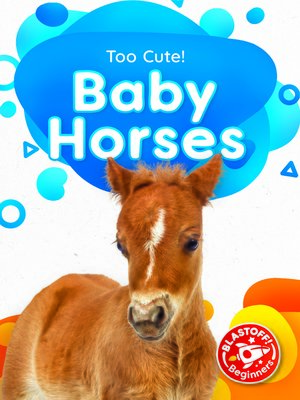 cover image of Baby Horses